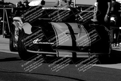 media/Oct-14-2023-Lucky Dog Racing (Sat) [[cef75db616]]/1-Around the Pits/
